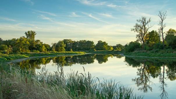 Rezerwat Moczydło – torfowiska i dzika przyroda nad Bugiem